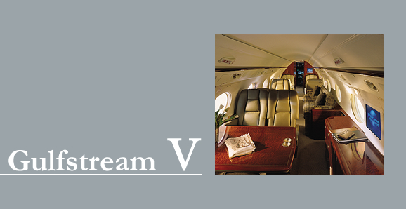 プライベートジェット　チャーター